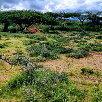 5 Acres Before Najiletown at Per Acre - Image 6