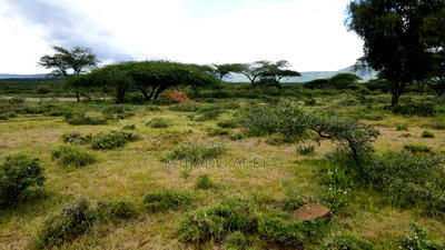 5 Acres Before Najiletown at Per Acre - Image 10