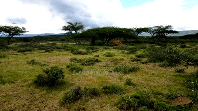 5 Acres Before Najiletown at Per Acre - Image 1