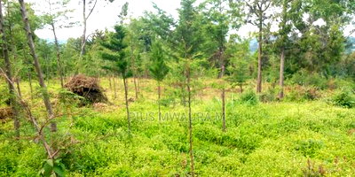 1acre Land at Nyandarua Milangine at 1.6m Red Soil Fertile Farm - Image 3
