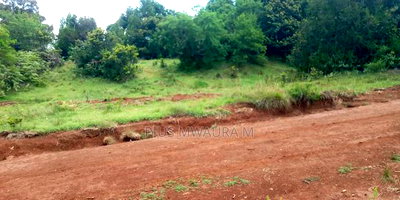 1acre Land at Nyandarua Milangine at 1.6m Red Soil Fertile Farm - Image 4
