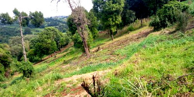 1acre Land at Nyandarua Milangine at 1.6m Red Soil Fertile Farm - Image 5