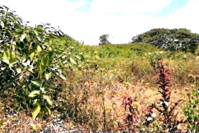 Prime 0.53 Acre's Vacant Property in Tatu City - Kiambu - Image 2