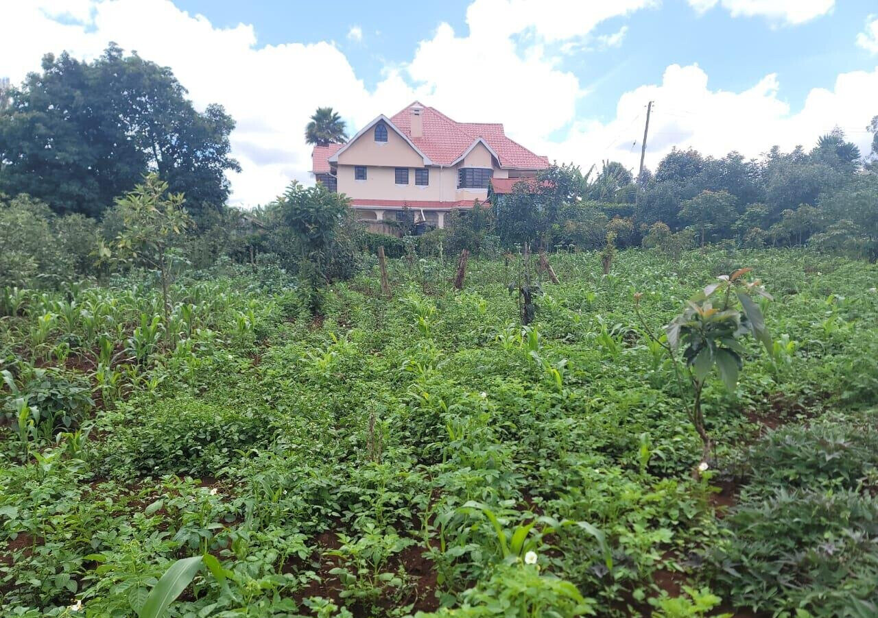 3-Acre Land in Banana, Kiambu