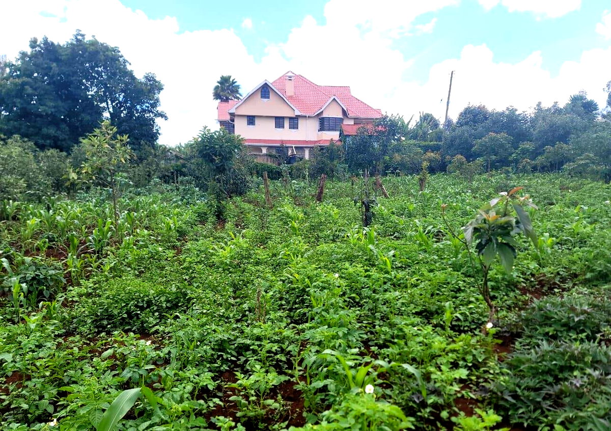 3-Acre Land in Banana, Kiambu