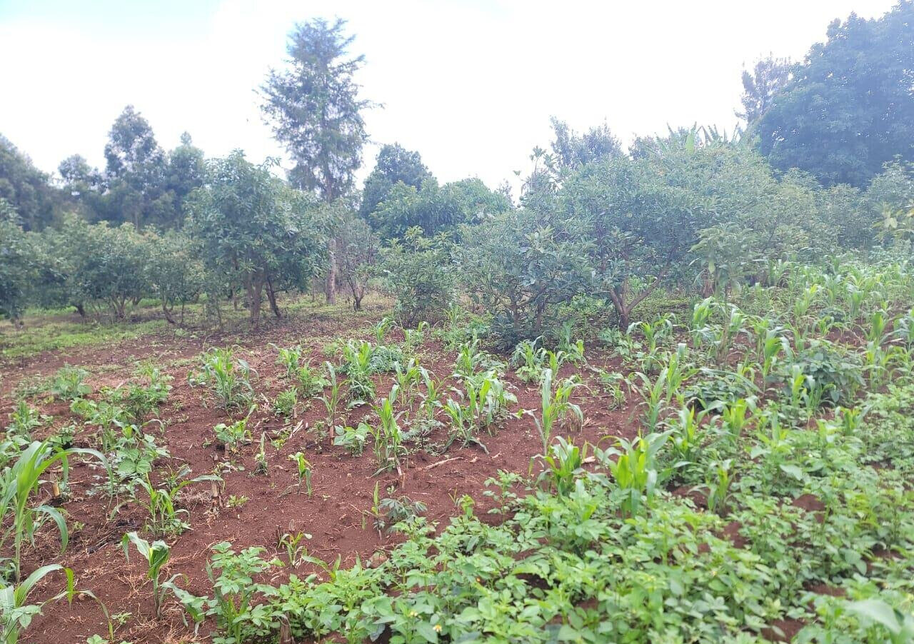 3-Acre Land in Banana, Kiambu
