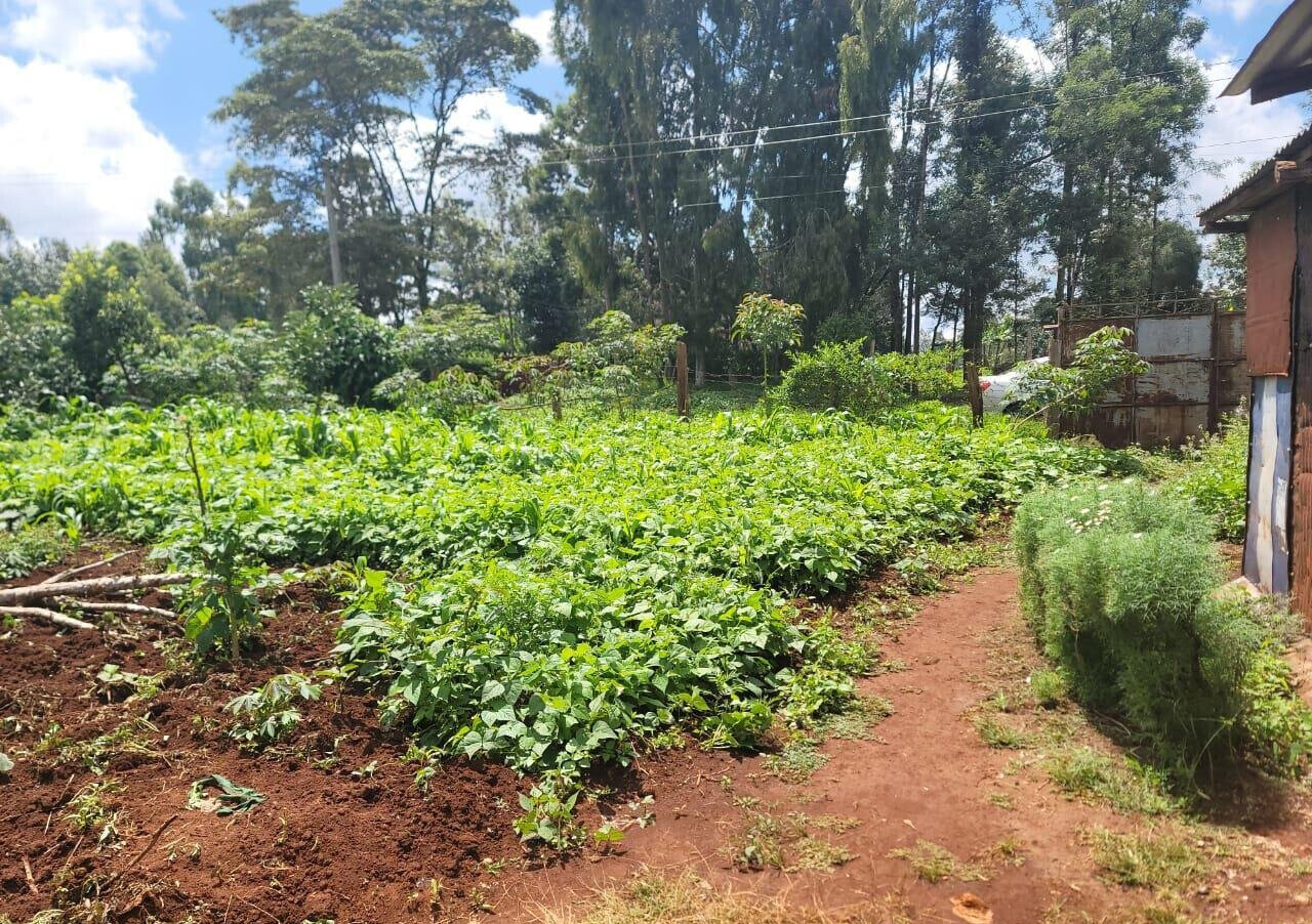 3-Acre Land in Banana, Kiambu