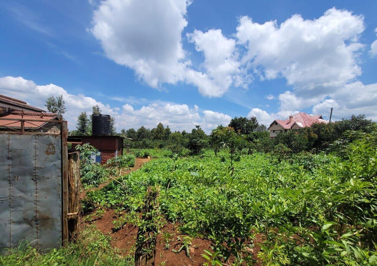3-Acre Land in Banana, Kiambu