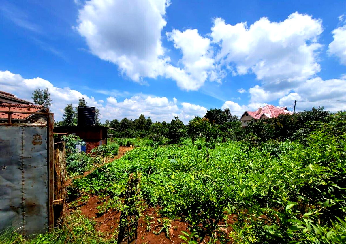 3-Acre Land in Banana, Kiambu