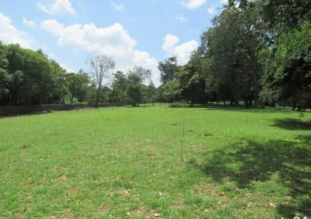 KSh 85M Serviced 1-Acre Plot