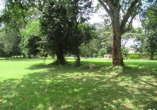 KSh 85M Serviced 1-Acre Plot