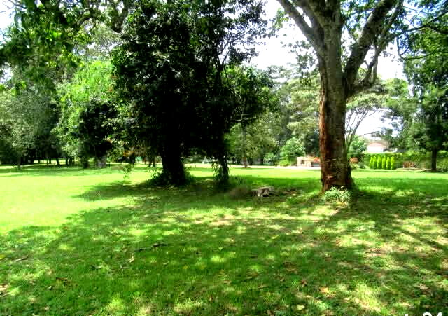 KSh 85M Serviced 1-Acre Plot