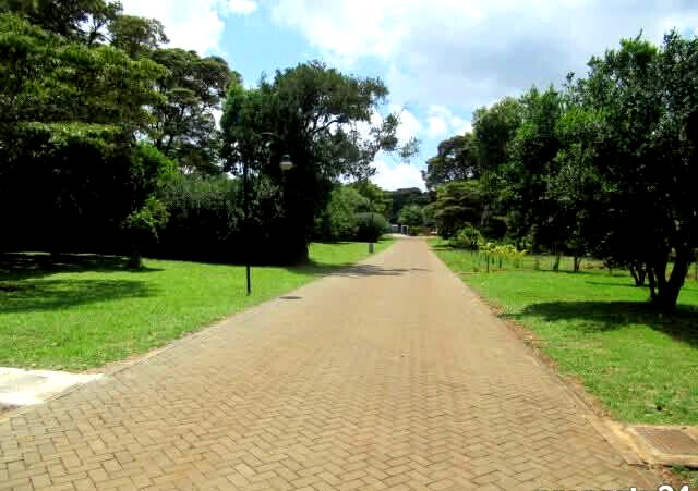 KSh 85M Serviced 1-Acre Plot