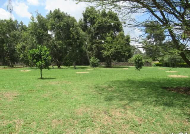 KSh 85M Serviced 1-Acre Plot