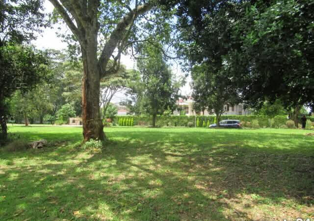 KSh 85M Serviced 1-Acre Plot