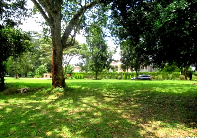 KSh 85M Serviced 1-Acre Plot