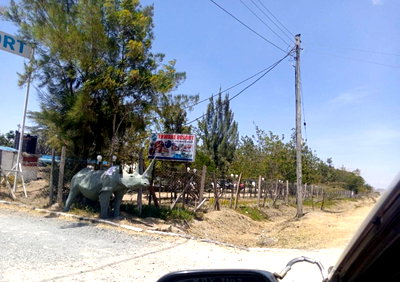 50x100 Plot with Garden at KSh 750K