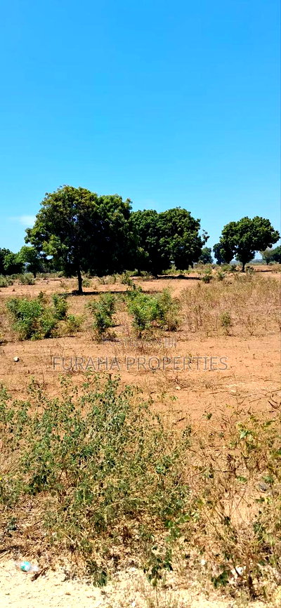 For Sale 15 Acres Prime Land Vipingo - Image 4