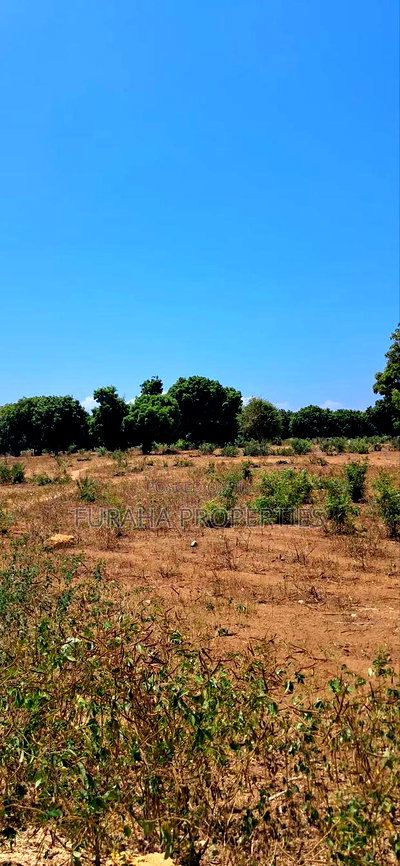 For Sale 15 Acres Prime Land Vipingo - Image 6