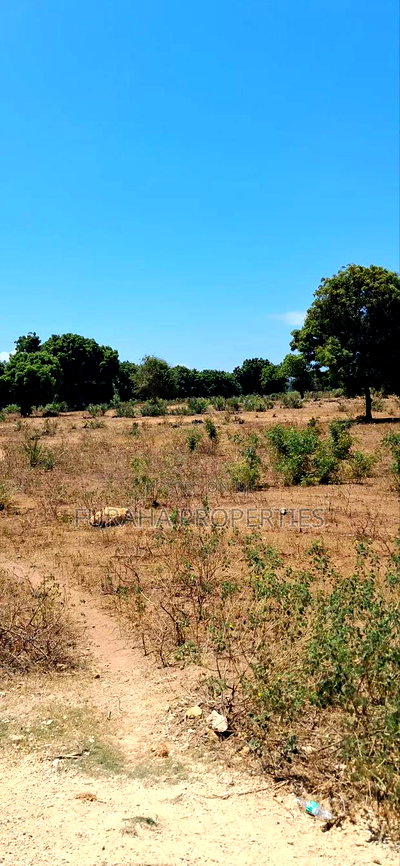 For Sale 15 Acres Prime Land Vipingo - Image 5