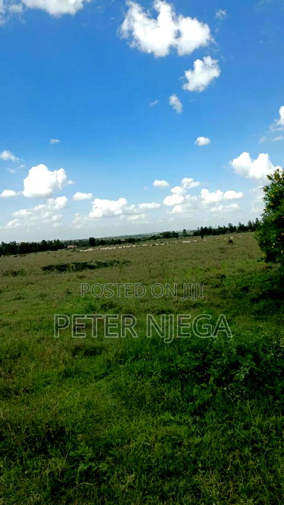 1/2 An Acre For Sale In Kisaju Kitengela - Image 4