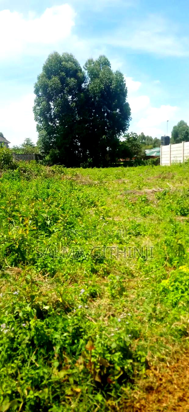 50 by 100 Residential Plot for Sale in Kikuyu Ondiri