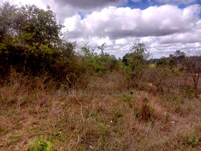 Tungutu 50 by 100 Ft Plots for Sale - Image 2