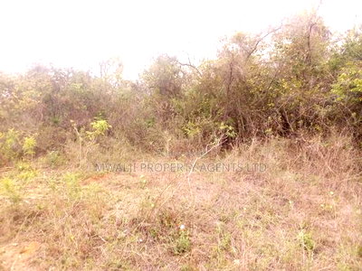 Tungutu 50 by 100 Ft Plots for Sale - Image 1