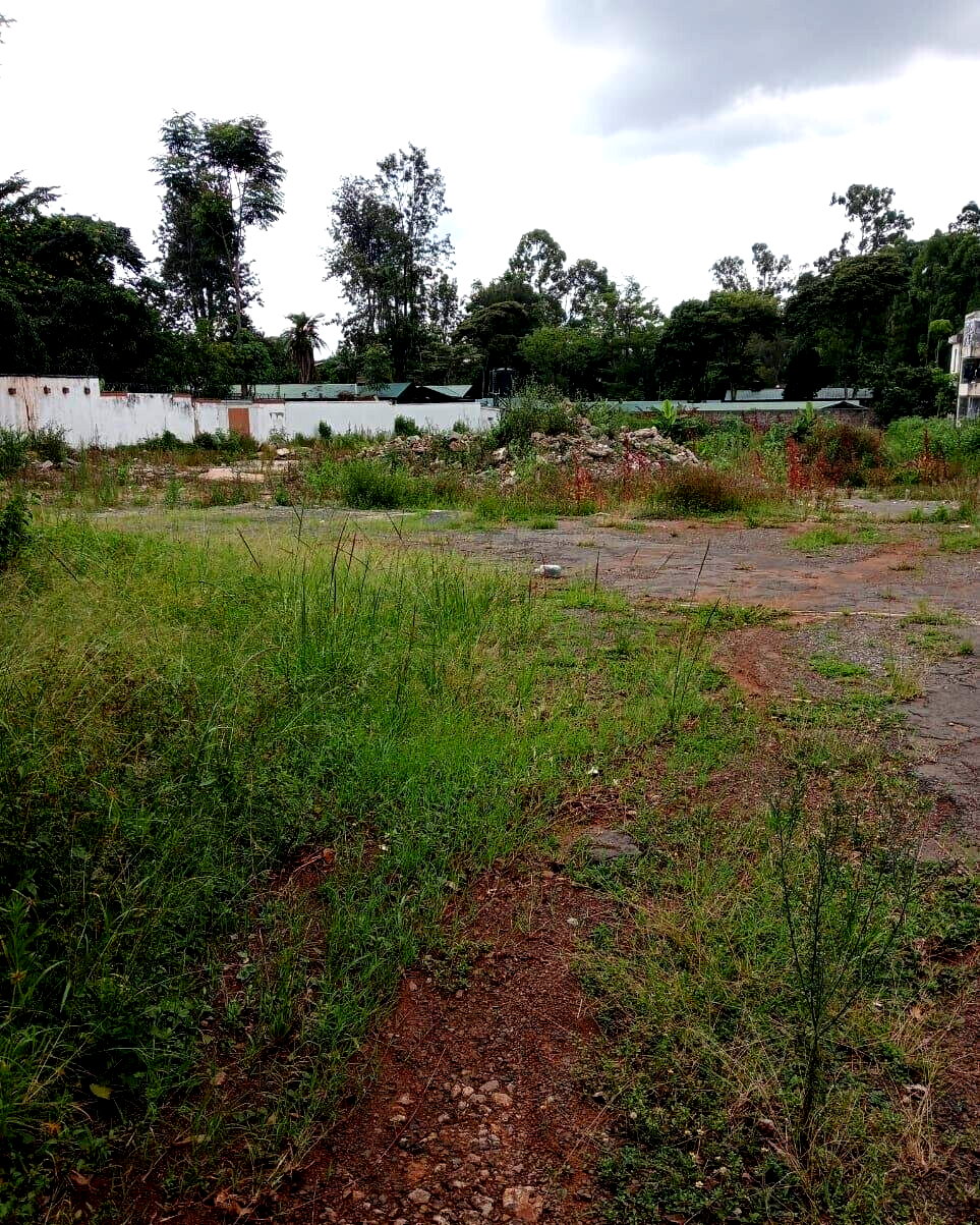 1-Acre Kilimani Plot at KSh 380M