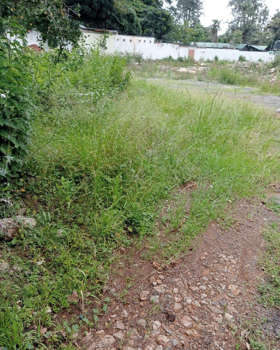 1-Acre Kilimani Plot at KSh 380M