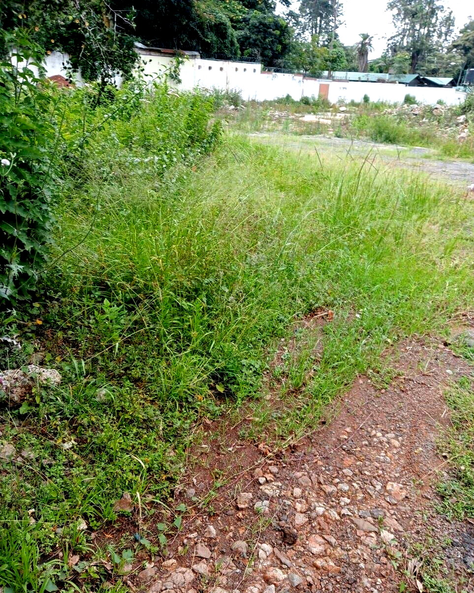 1-Acre Kilimani Plot at KSh 380M