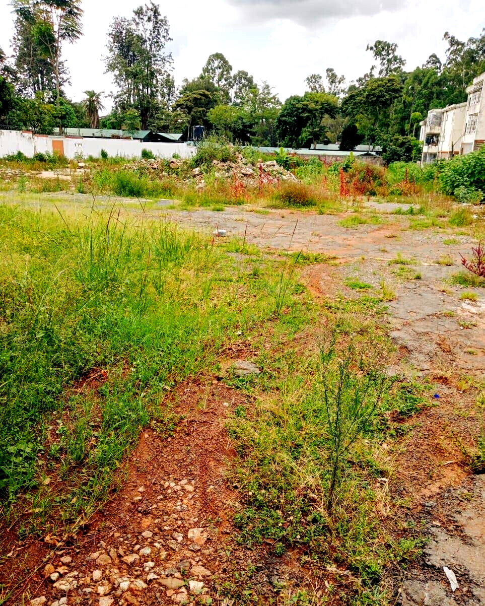 1-Acre Kilimani Plot at KSh 380M