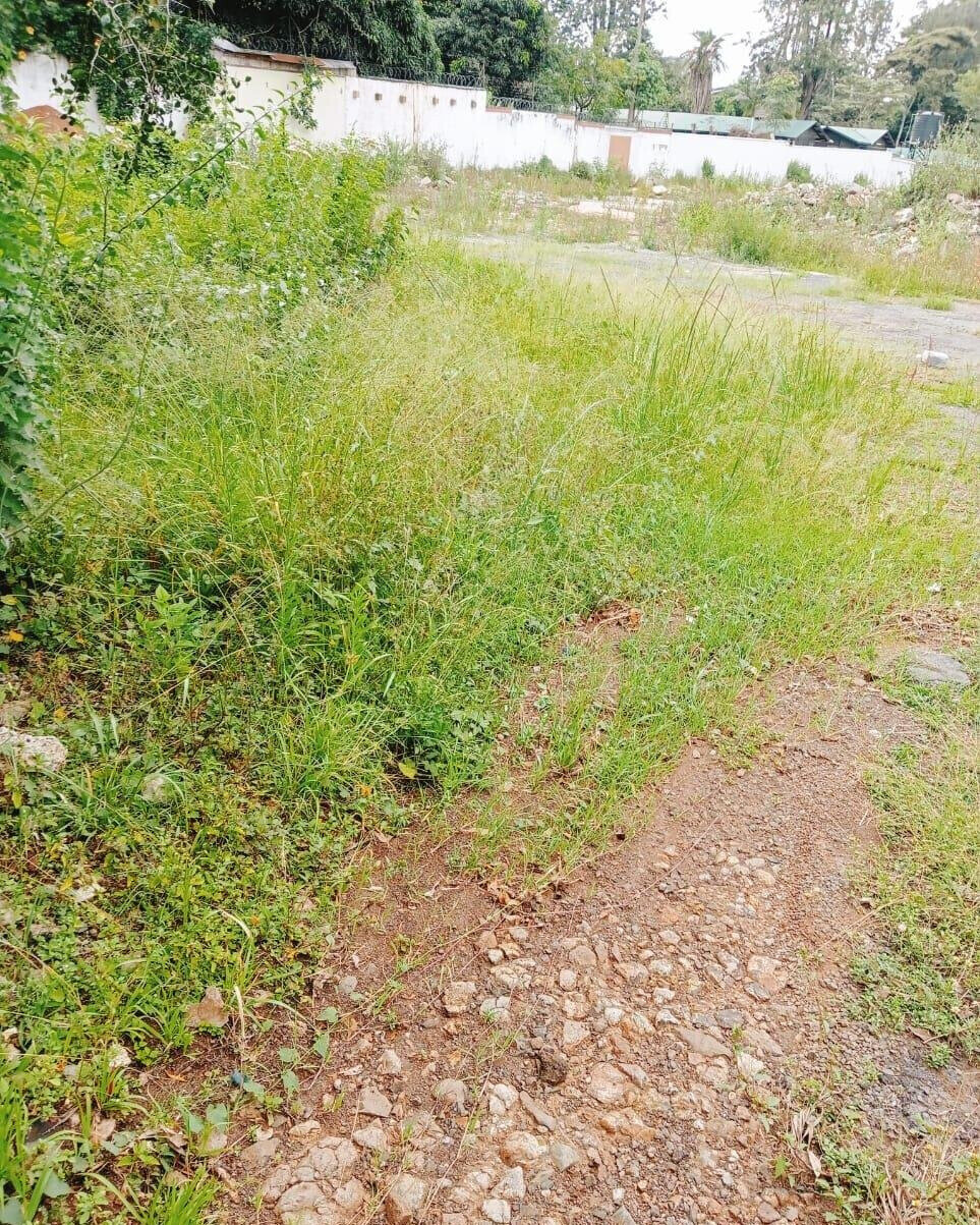 1-Acre Kilimani Plot at KSh 380M