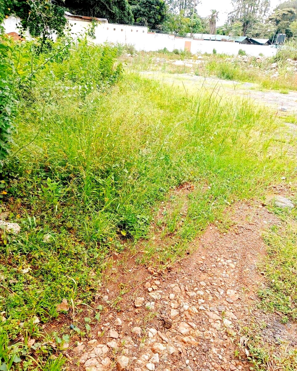 1-Acre Kilimani Plot at KSh 380M