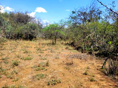 Offer! Offer! 1/2 Acres Plots for Sale - Image 2