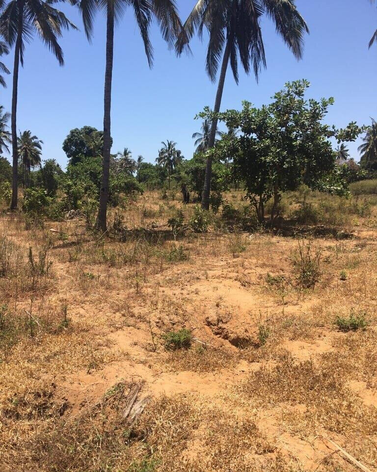 50x100 Pet Friendly Plot for KSh 1M