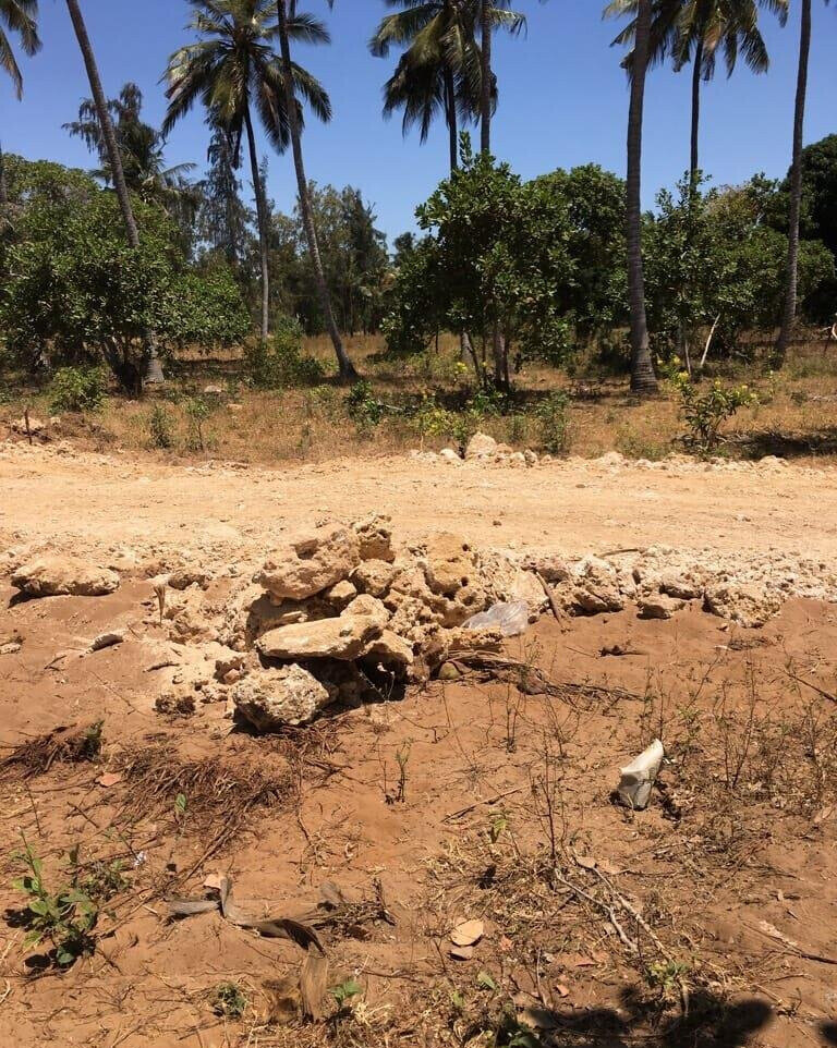 50x100 Pet Friendly Plot for KSh 1M