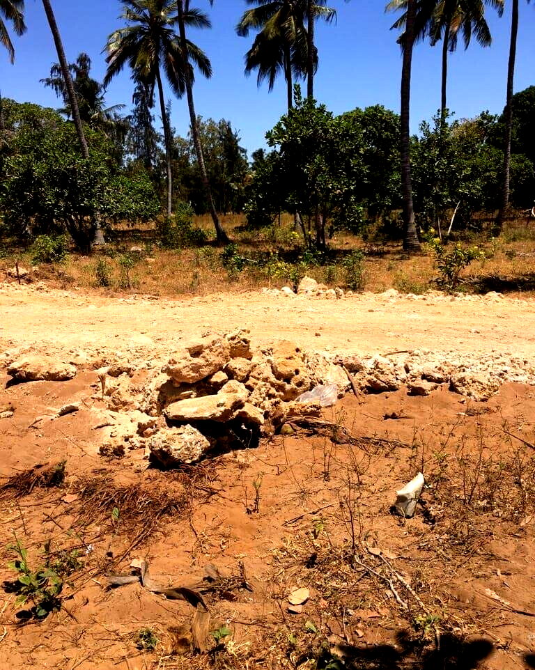 50x100 Pet Friendly Plot for KSh 1M