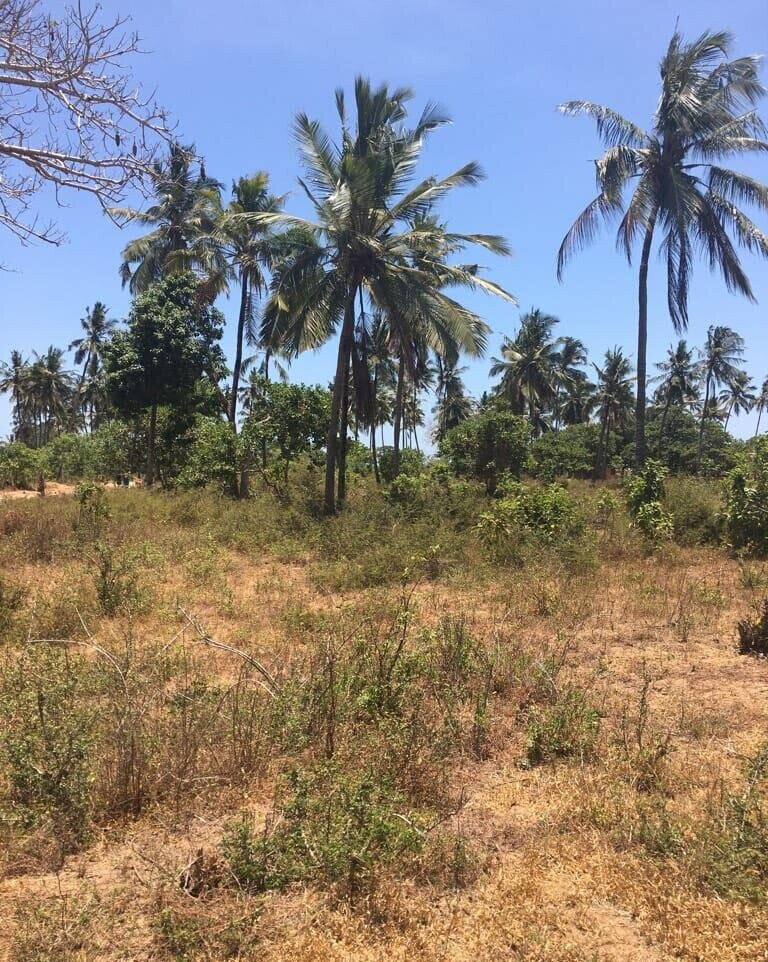 50x100 Pet Friendly Plot for KSh 1M