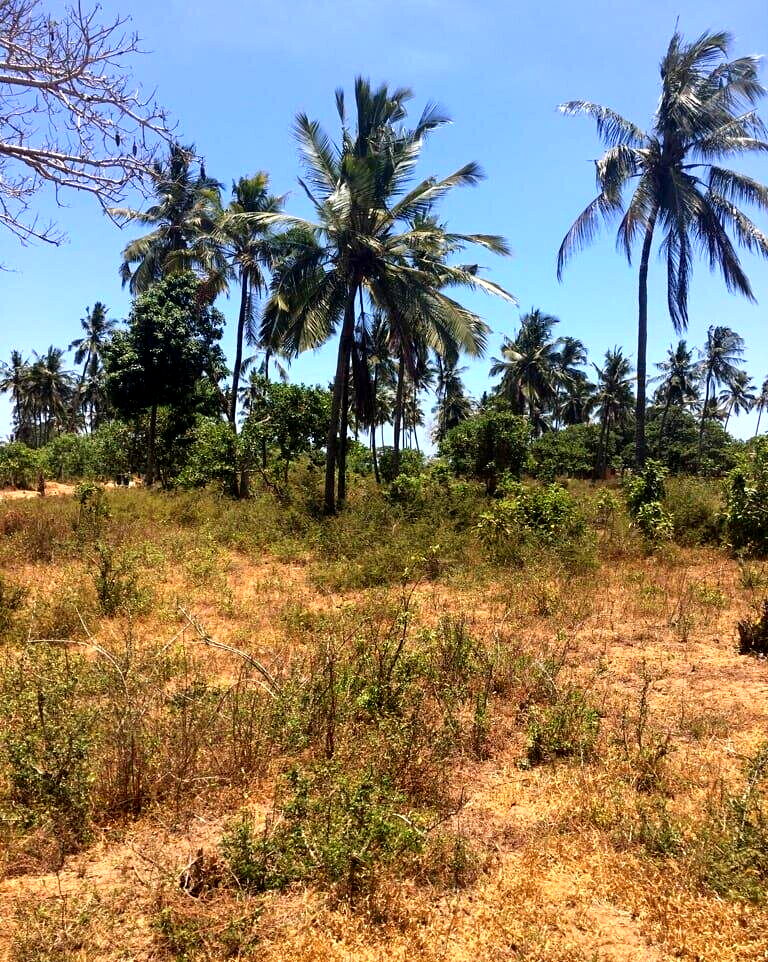 50x100 Pet Friendly Plot for KSh 1M