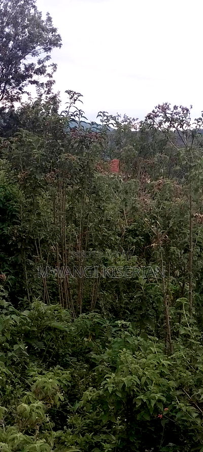 1 Acre in Kiserian Primary - Image 12