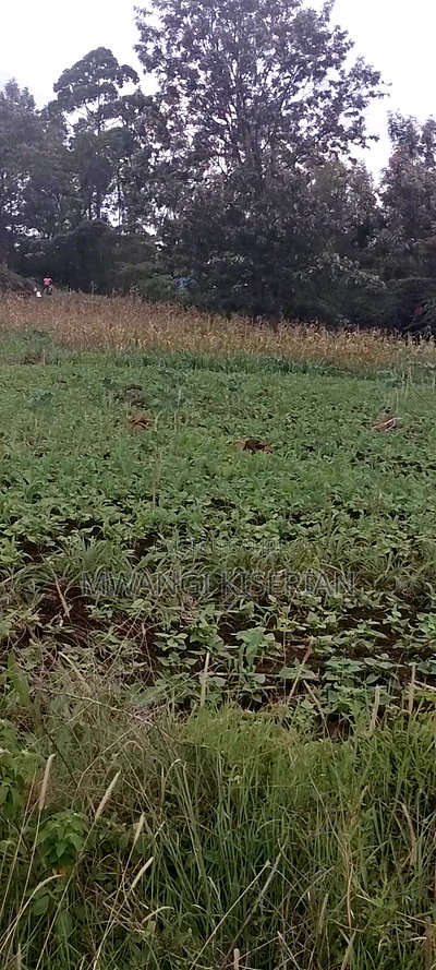 1 Acre in Kiserian Primary - Image 4