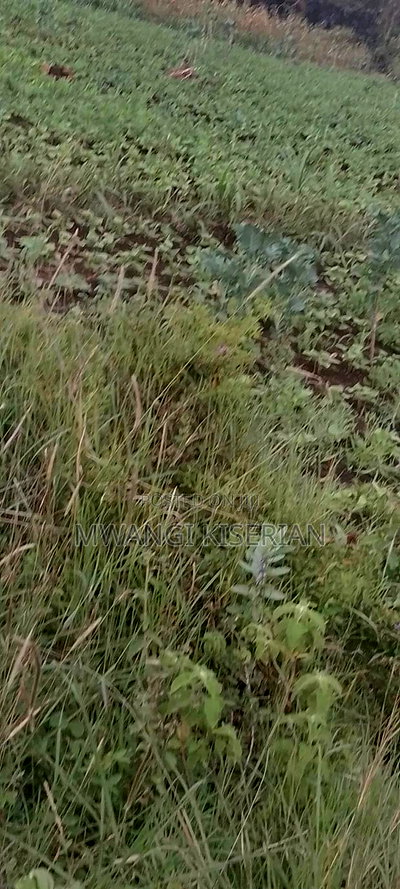 1 Acre in Kiserian Primary - Image 5