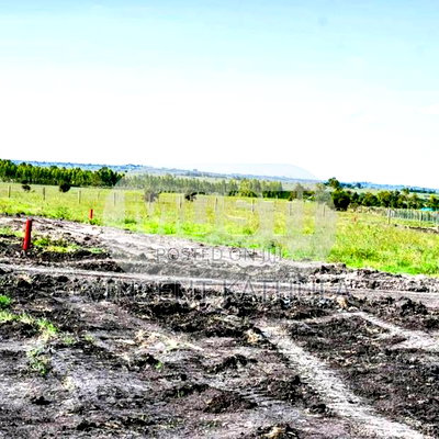 Kisaju Plots - Image 1