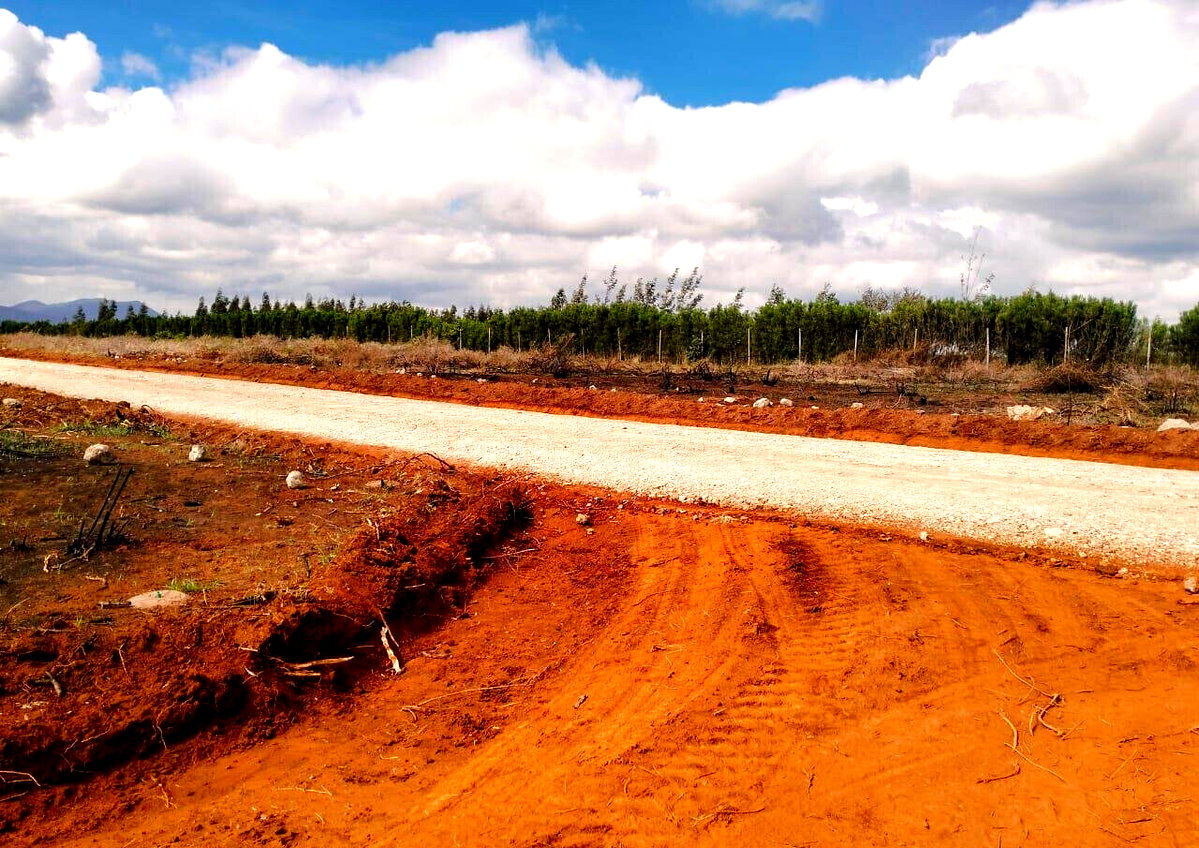 50x100 Garden Plot at KSh 795K