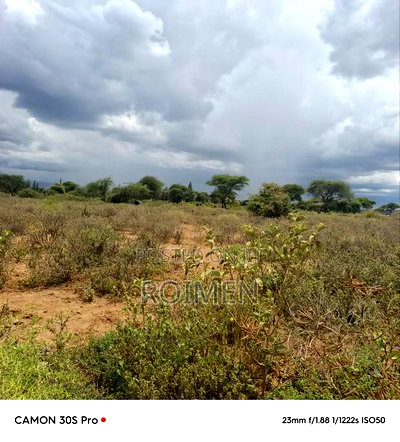 5 Acres in Kimana 1km Kutoka Kwa Tarmac - Image 4