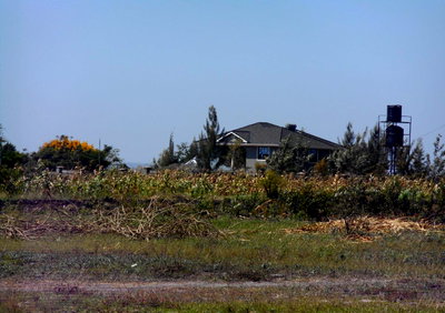 40-Acre Commercial Plot with Garden