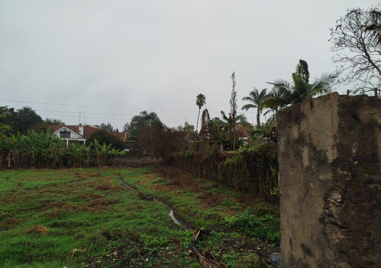 0.6 Acre Runda Gem with Garden