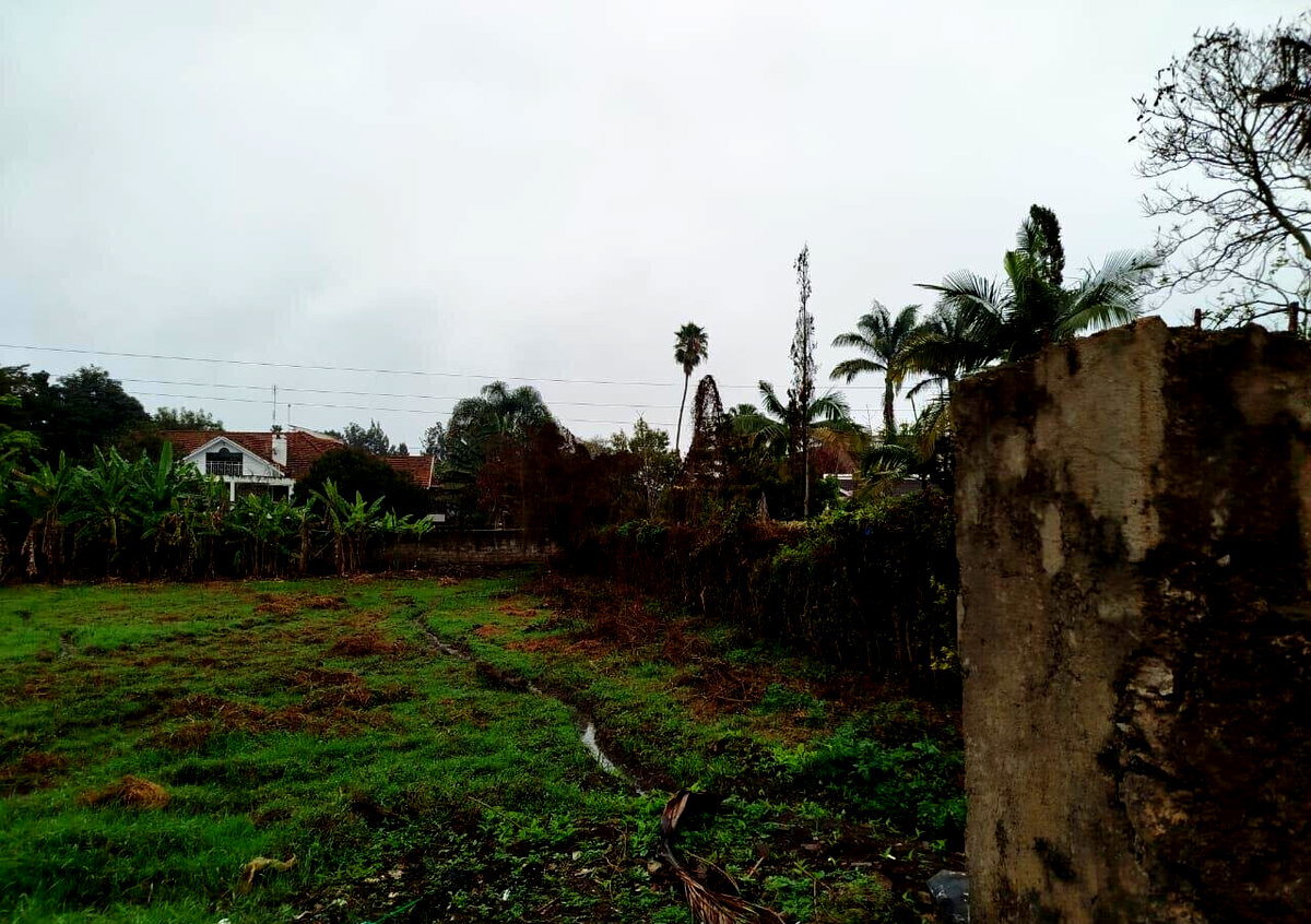0.6 Acre Runda Gem with Garden
