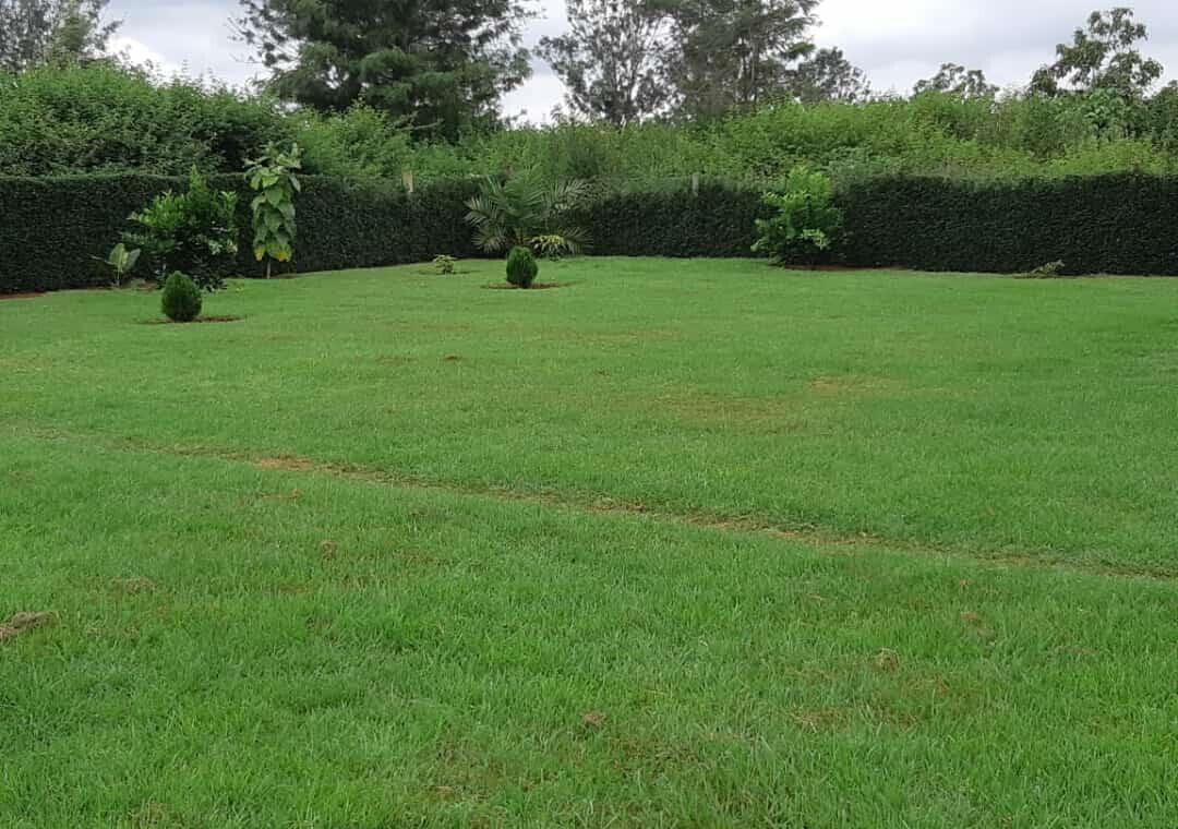 0.6 Acre Runda Gem with Garden